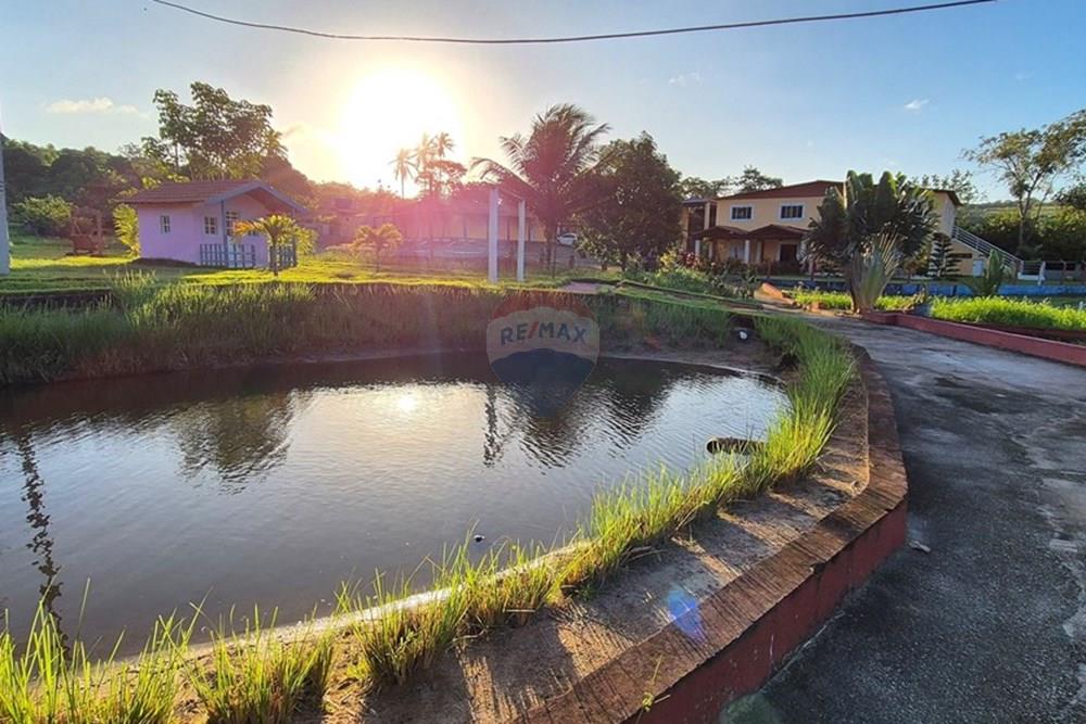 Chácara / Sítio / Fazenda - Venda - Alhandra , Paraíba - 20250724_162933.jpg - 722011055-42