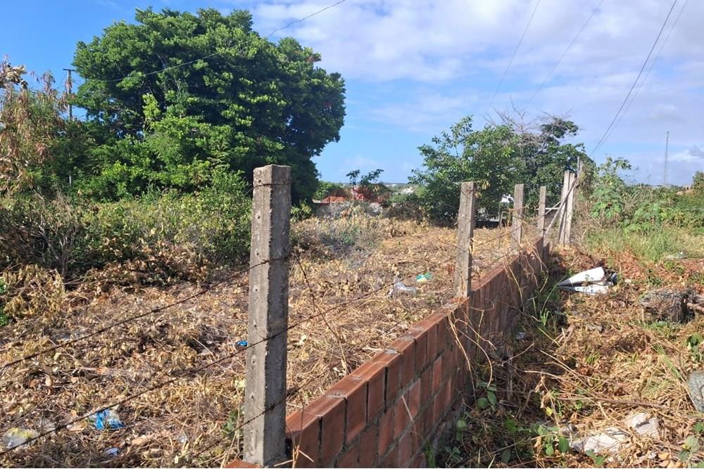 Terreno - Venda - Conde , Paraíba - 7ac02127-dbf3-426f-a427-cfc9bbd803d4 (1).jpeg - 720871044-69