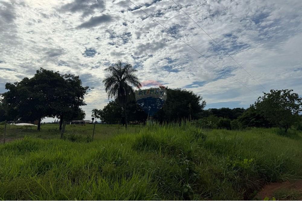 Chácara / Sítio / Fazenda - Venda - São José do Povo , Mato Grosso - IMG-20250407-WA0078.jpg - 720851027-112