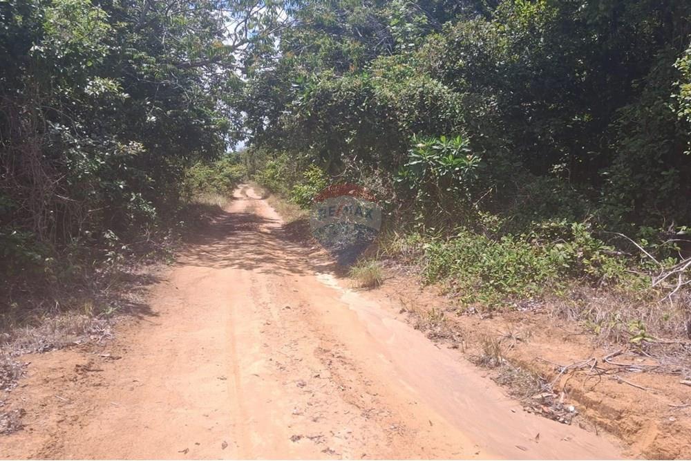 Terreno - Venda - Conde , Paraíba - 3dfe48ae-da1d-45ea-aaa0-a0ae9b7c8be7.jpeg - 720871044-33