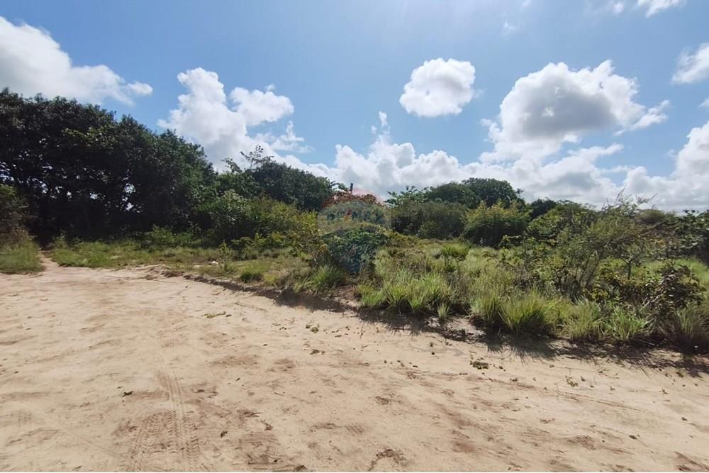 Terreno - Venda - Conde , Paraíba - 8a98baae-f7ab-4e90-b639-29bc4e99f54c.jpg - 720871056-27