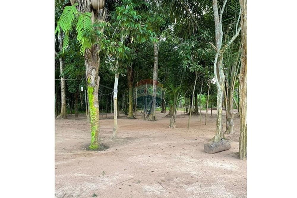 Chácara / Sítio / Fazenda - Venda - Parauapebas , Pará - IMG-20250605-WA0204.jpg - 722021019-13