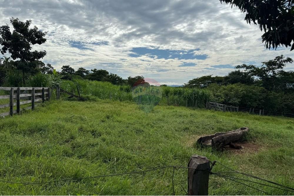 Chácara / Sítio / Fazenda - Venda - São José do Povo , Mato Grosso - IMG-20250407-WA0067.jpg - 720851027-112