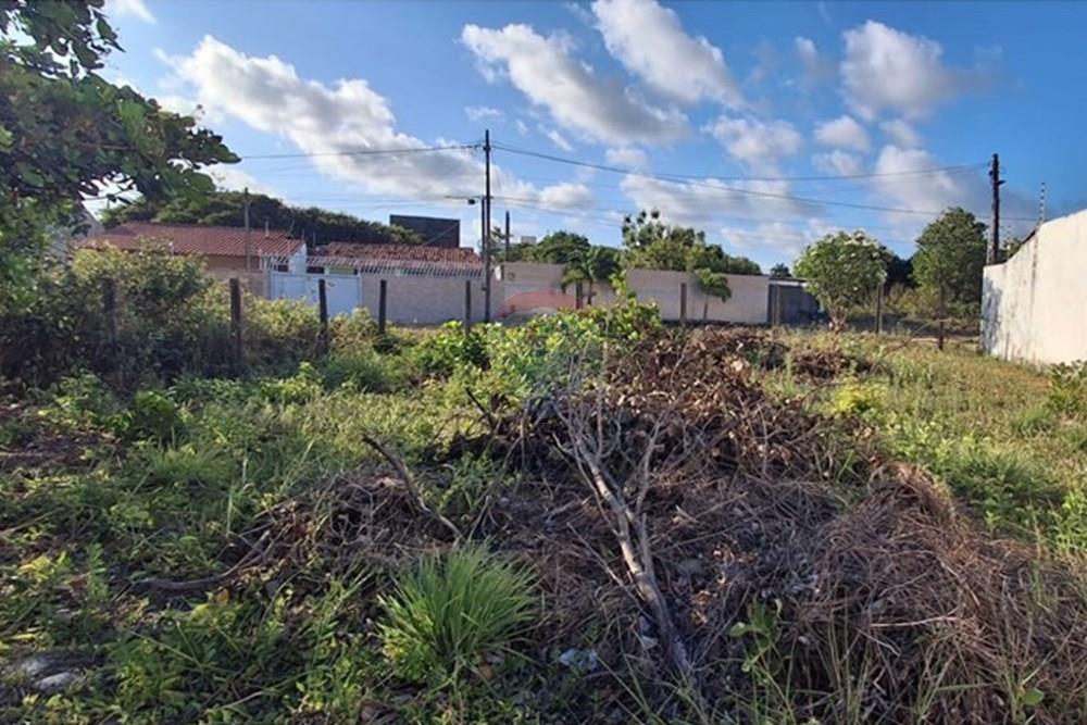 Terreno - Venda - Conde , Paraíba - a77deb7d-7f66-4c24-b488-6191c056ea7d.jpeg - 720871044-98