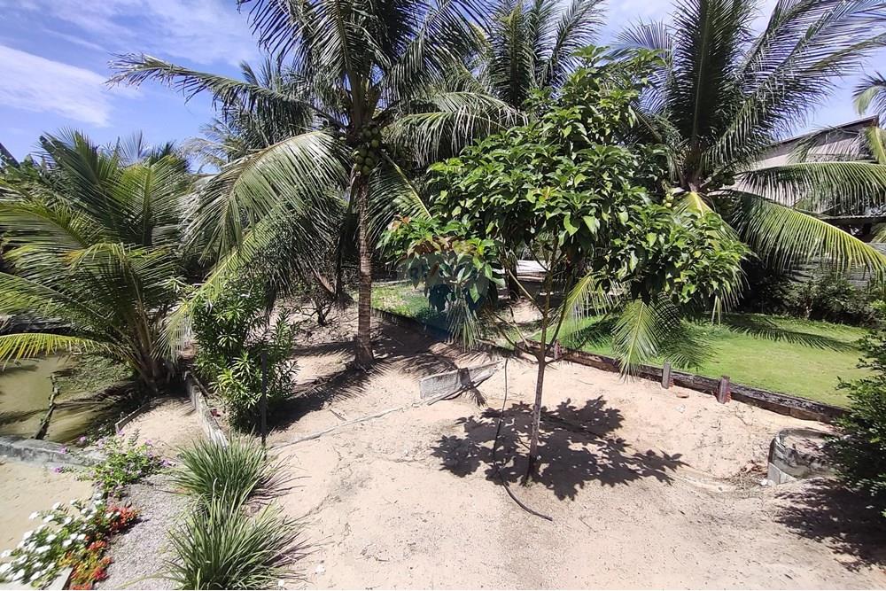 Chácara / Sítio / Fazenda - Venda - Nísia Floresta , Rio Grande do Norte - WhatsApp Image 2025-06-05 at 15.28.55(4).jpeg - 720731020-103