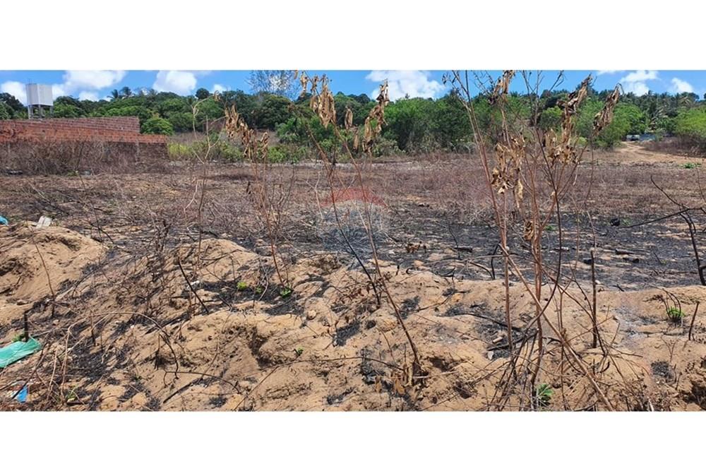 Terreno - Venda - Conde , Paraíba - WhatsApp Image 2024-12-17 at 15.12.56.jpeg - 720871031-68