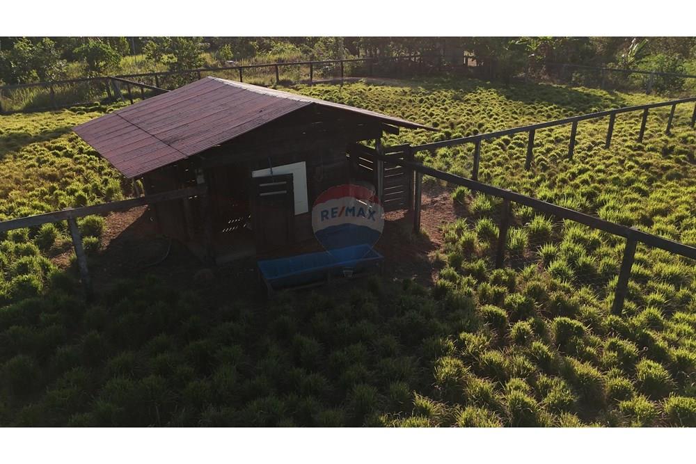 Chácara / Sítio / Fazenda - Venda - Porto Velho , Rondônia - ciro 18.jpg - 721551019-230