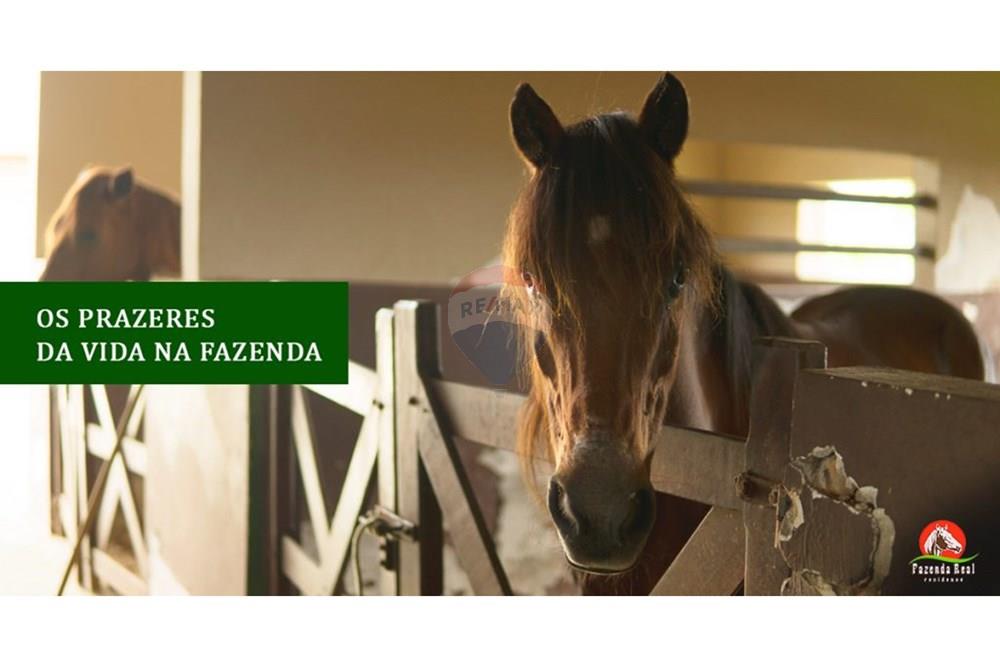 Terreno - Venda - Macaíba , Rio Grande do Norte - 001-1024x538.jpg - 720621066-70