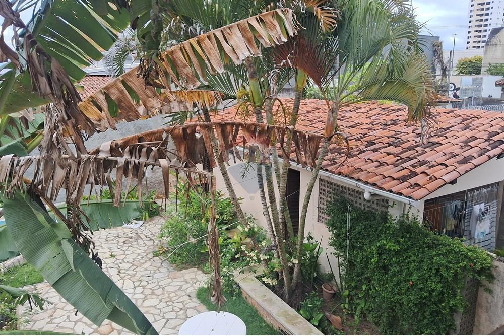 Casa - Alugar - João Pessoa , Paraíba - 20250722_110049.jpg - Quintal - 720301177-42