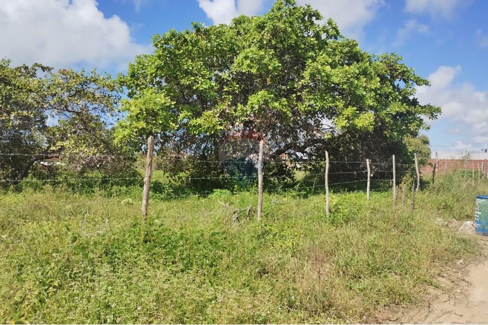 Terreno - Venda - Conde , Paraíba - d1b9b6ca-7736-4245-8fd6-a5b351b638a7.jpg - 720871056-11