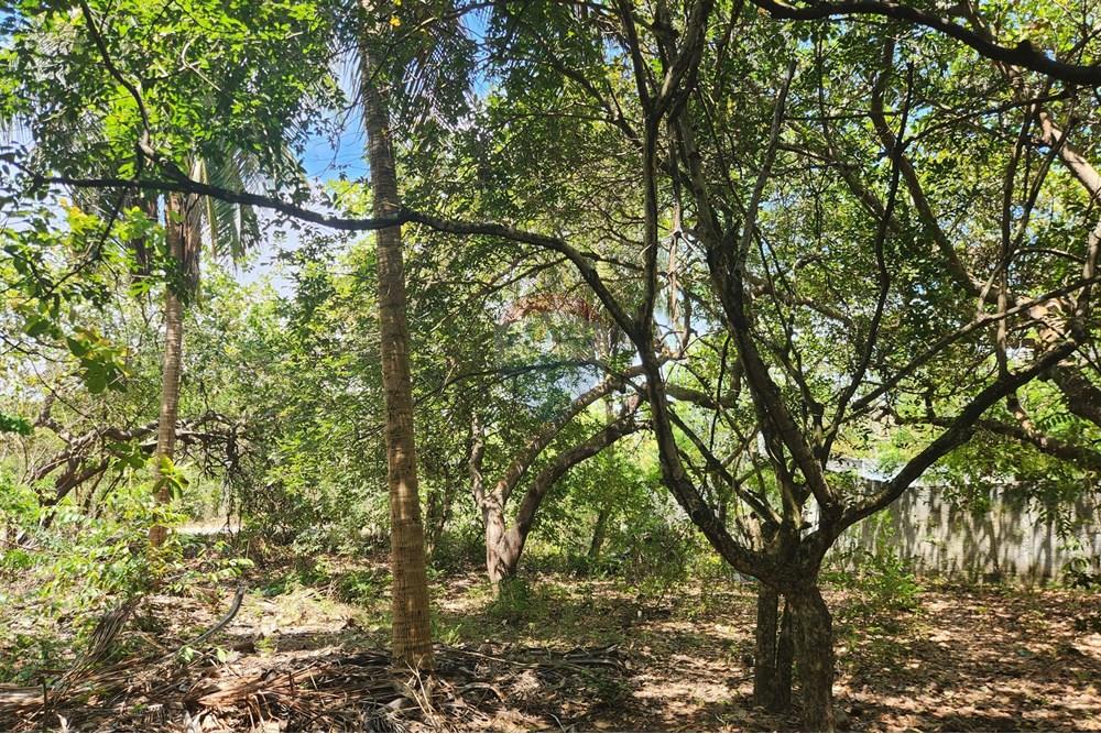 Terreno - Venda - Maxaranguape , Rio Grande do Norte - 20241016_094437.jpg - 720891155-334