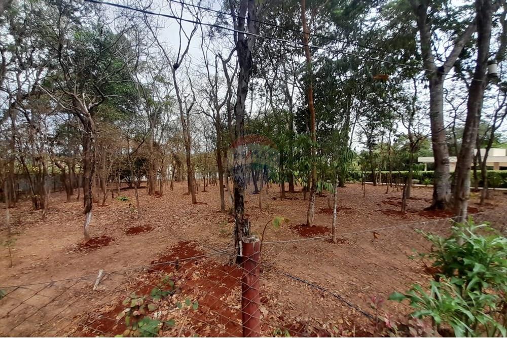 Chácara / Sítio / Fazenda - Venda - Nova Veneza , Goiás - WhatsApp Image 2025-10-08 at 10.28.07 (1).jpeg - 722271015-32