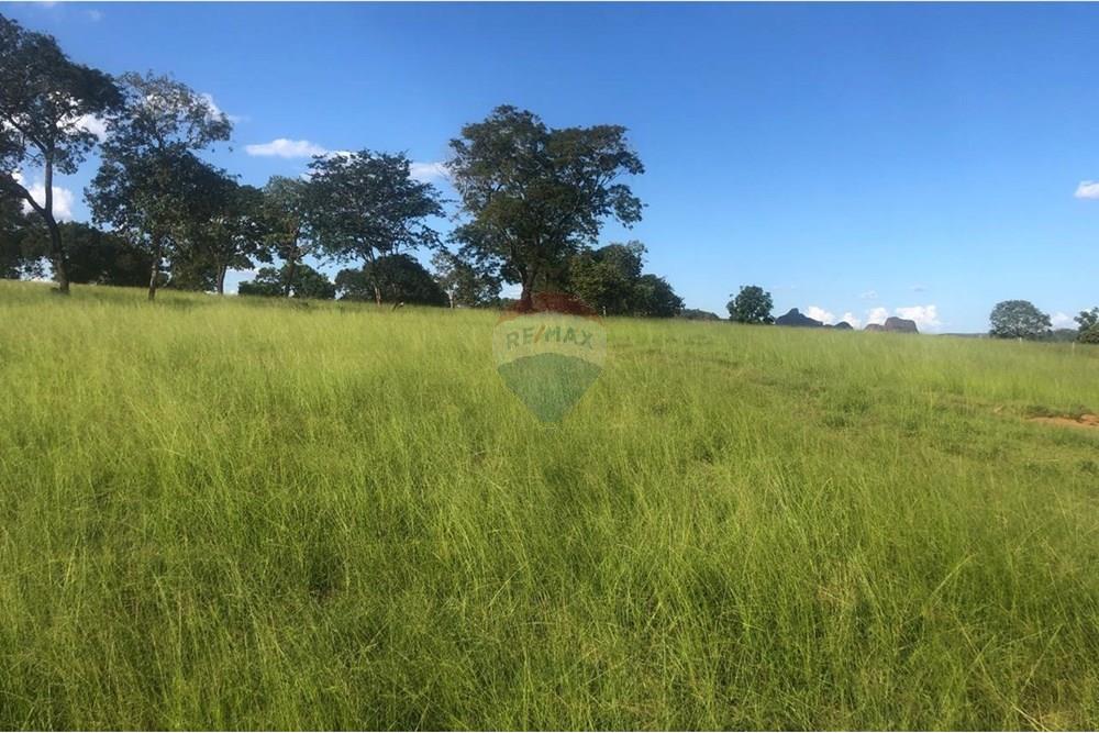 Fazenda - Venda - Guiratinga , Mato Grosso - IMG-20250812-WA0130.jpg - 721981068-2