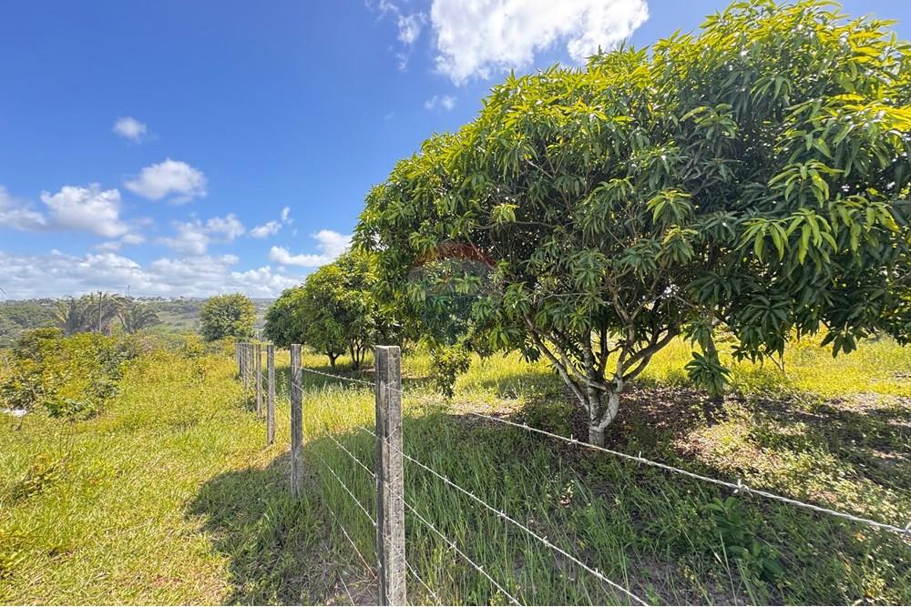 Terreno - Venda - Conde , Paraíba - 09.jpg - 720471011-115