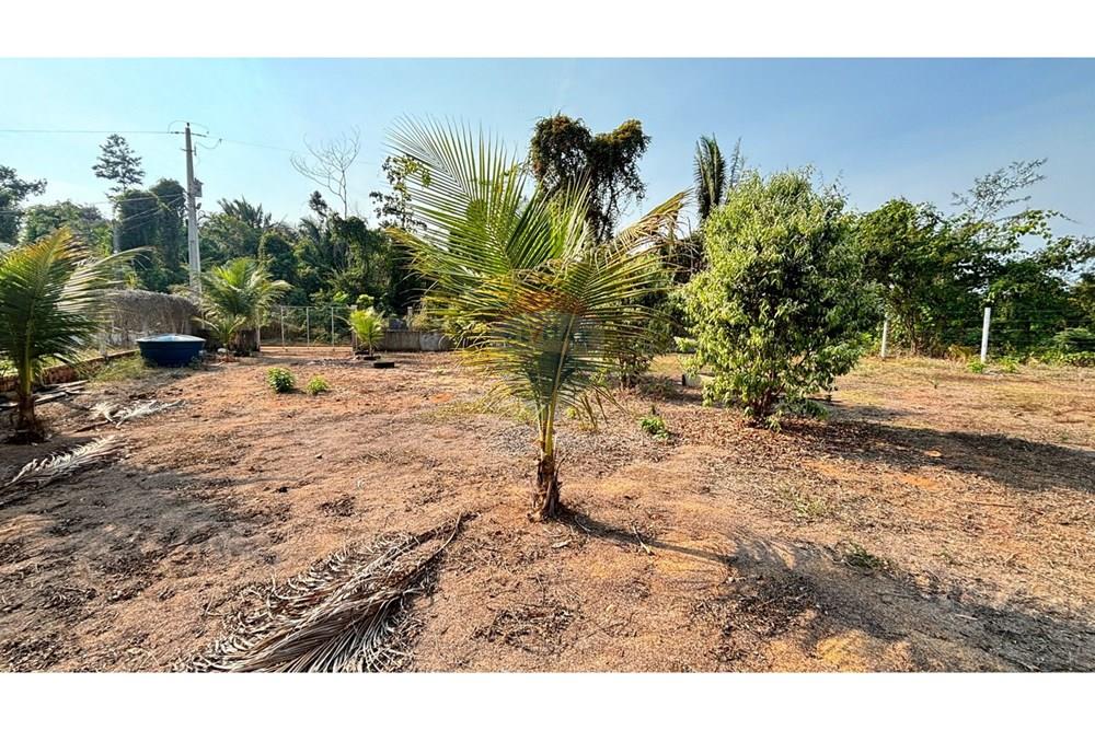 Chácara / Sítio / Fazenda - Venda - Ji-Paraná , Rondônia - WhatsApp Image 2025-08-25 at 16.25.10.jpeg - 722161004-57