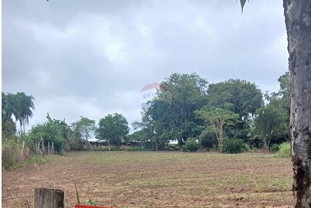 Chácara / Sítio / Fazenda - Venda - Rondonópolis , Mato Grosso - WhatsApp Image 2025-05-12 at 16.29.59 (2).jpeg - 720611007-92