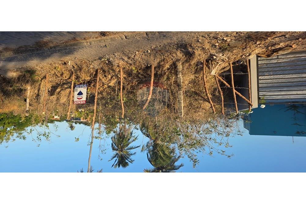 Terreno - Venda - Trairi , Ceará - 1000190066.jpg - 722341001-101