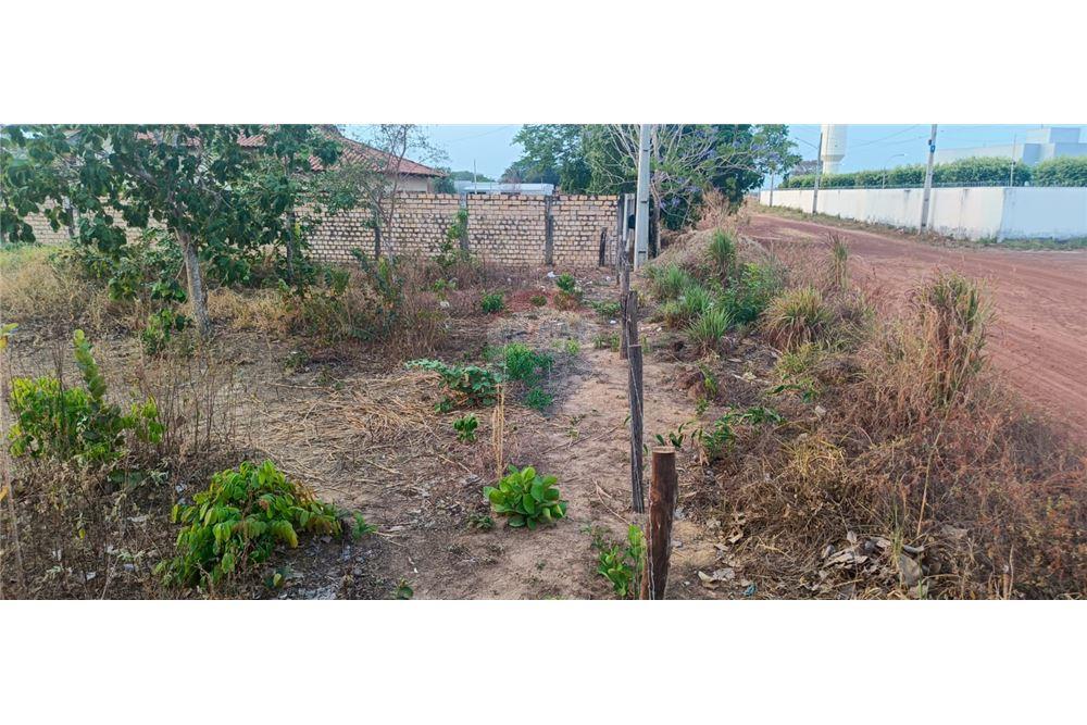 Terreno - Venda - Porto Alegre do Norte , Mato Grosso - 14 - 720641031-15