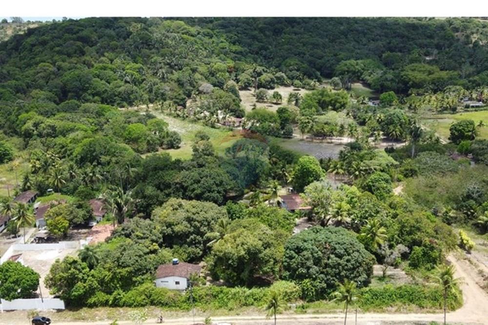 Chácara / Sítio / Fazenda - Venda - Conde , Paraíba - DJI_0264.JPG - 720871004-216