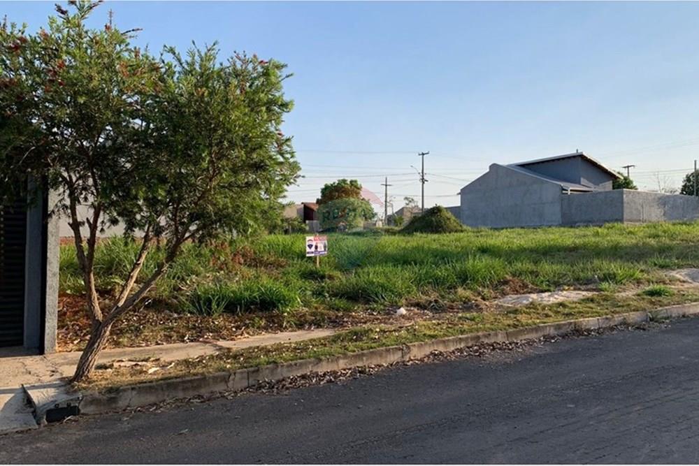 Terreno - Venda - Cacoal , Rondônia - WhatsApp Image 2025-08-26 at 1.31.00 PM (2).jpeg - 721971052-2