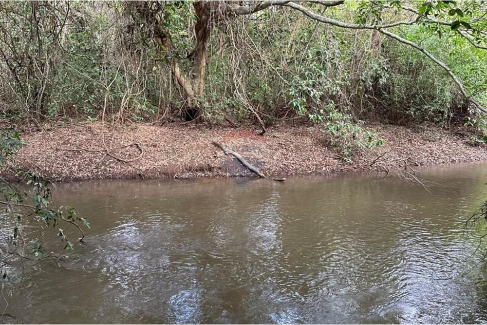 Chácara / Sítio / Fazenda - Venda - Rio Verde , Goiás - 13.jpg - 722291014-34