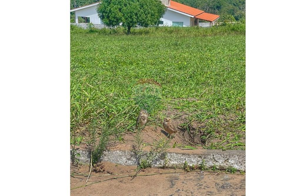 Terreno - Venda - Conde , Paraíba - WhatsApp Image 2024-07-24 at 14.35.59.jpeg - 720871004-166