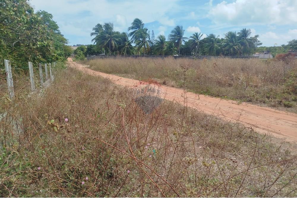 Terreno - Venda - Nísia Floresta , Rio Grande do Norte - WhatsApp Image 2024-11-22 at 21.32.44.jpeg - 720891013-74