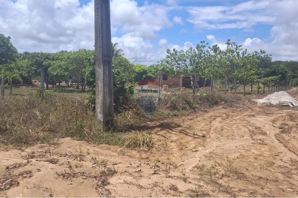 Terreno - Venda - Conde , Paraíba - 31d10dbf-8f65-4173-b6ea-9728e89c7b4d.jpeg - 720871044-33