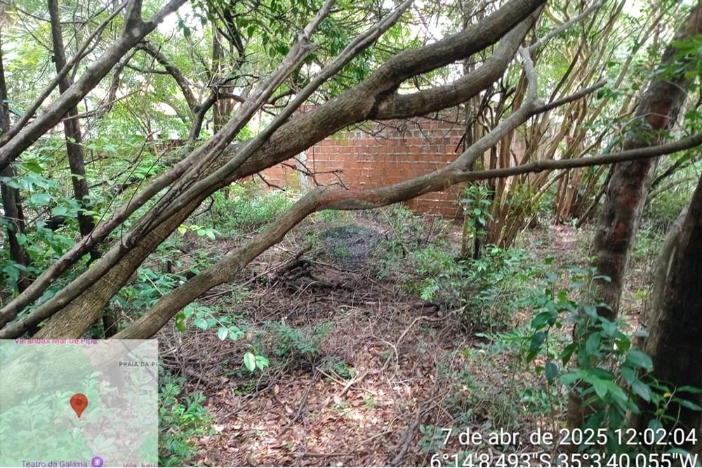 Terreno - Venda - Tibau do Sul , Rio Grande do Norte - Gustavo2.jpeg - 720891150-75