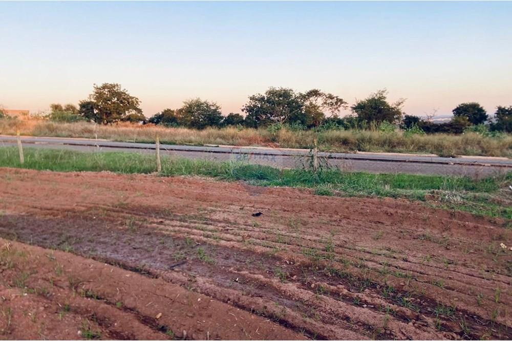 Terreno - Venda - Rondonópolis , Mato Grosso - WhatsApp Image 2025-06-28 at 18.38.43 (1).jpeg - 720611045-82