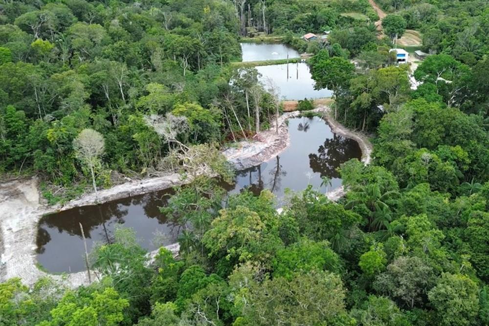 Chácara / Sítio / Fazenda - Venda - Novo Airão , Amazonas - Tanques de Peixes2.jpg - 720721055-29