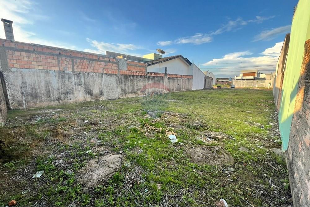 Residential - Nezazidljivo zemljišče - Sinop , Mato Grosso - BR - WhatsApp Image 2024-12-12 at 16.03.25 (2).jpeg - 721561039-23