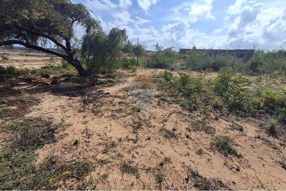 Terreno - Venda - Conde , Paraíba - d98d6be3-0652-41fe-b8c8-f994f26bb34b.jpeg - 720871044-38