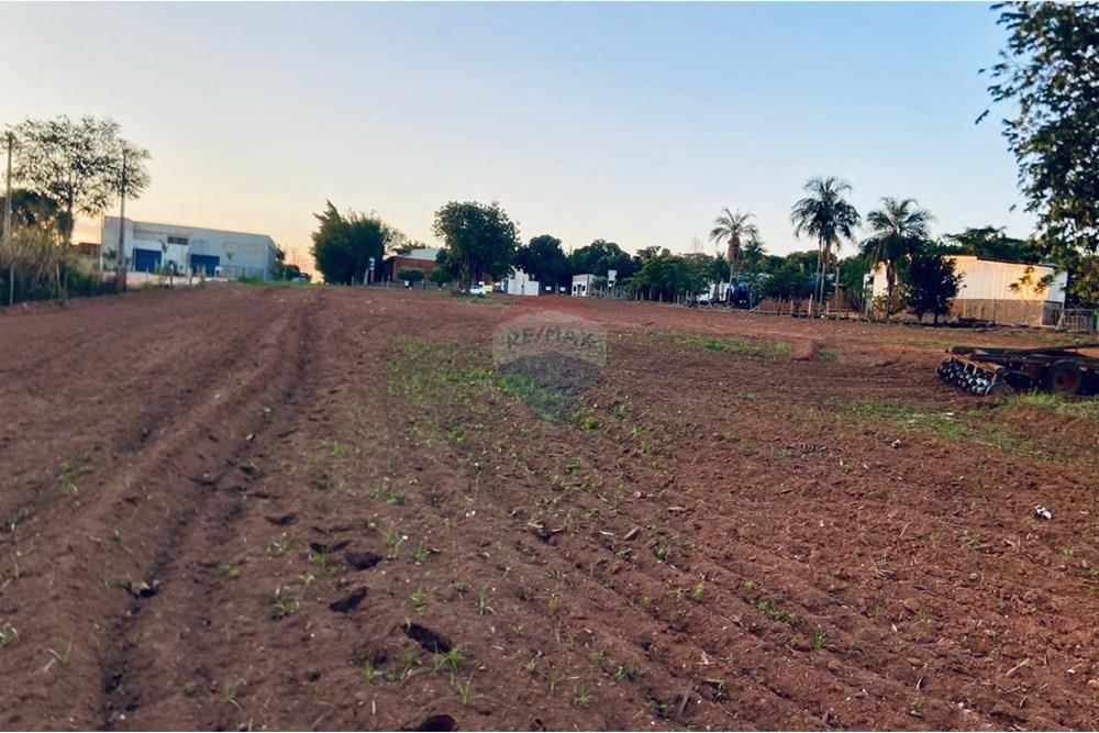 Terreno - Venda - Rondonópolis , Mato Grosso - WhatsApp Image 2025-06-28 at 18.38.43.jpeg - 720611045-82