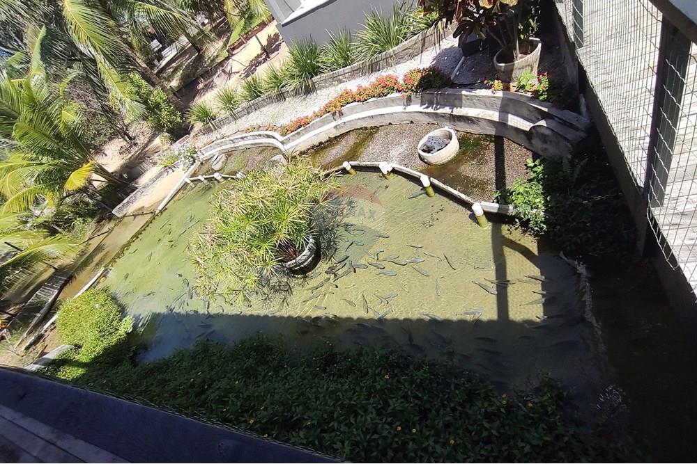 Chácara / Sítio / Fazenda - Venda - Nísia Floresta , Rio Grande do Norte - WhatsApp Image 2025-06-05 at 15.28.58.jpeg - 720731020-103