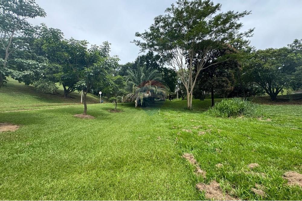 Terreno - Venda - Goiânia , Goiás - WhatsApp Image 2025-03-17 at 15.18.11.jpeg - 722271003-32