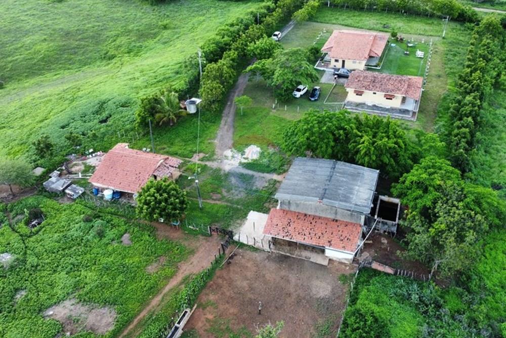 Chácara / Sítio / Fazenda - Venda - Riachão do Bacamarte , Paraíba - dji_fly_20250215_151724_507_1739643452653_photo_optimized.jpg - 722011055-39