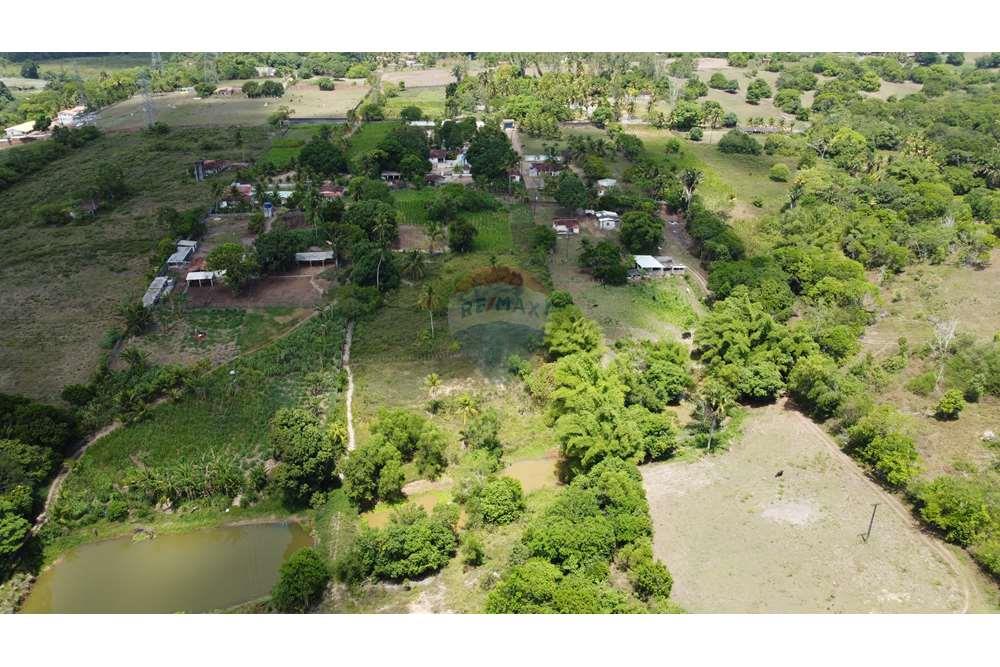 Chácara / Sítio / Fazenda - Venda - Conde , Paraíba - WhatsApp Image 2024-01-29 at 11.57.26 (2).jpeg - 720871004-212