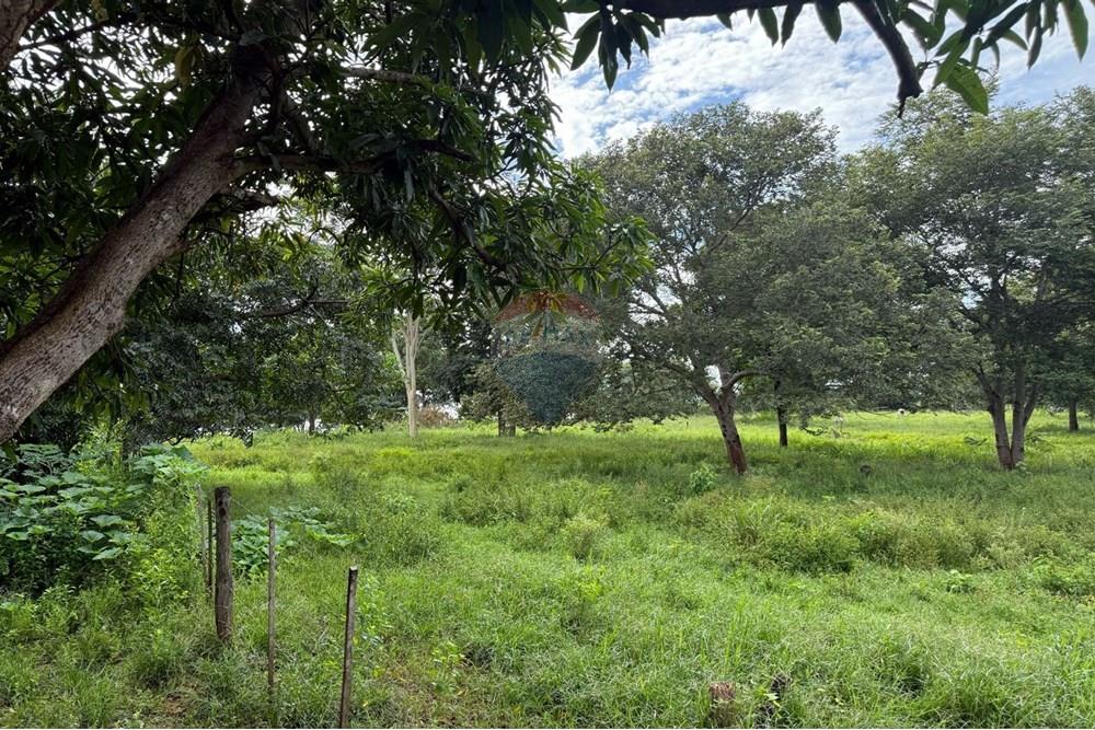 Chácara / Sítio / Fazenda - Venda - São José do Povo , Mato Grosso - IMG-20250407-WA0064.jpg - 720851027-112