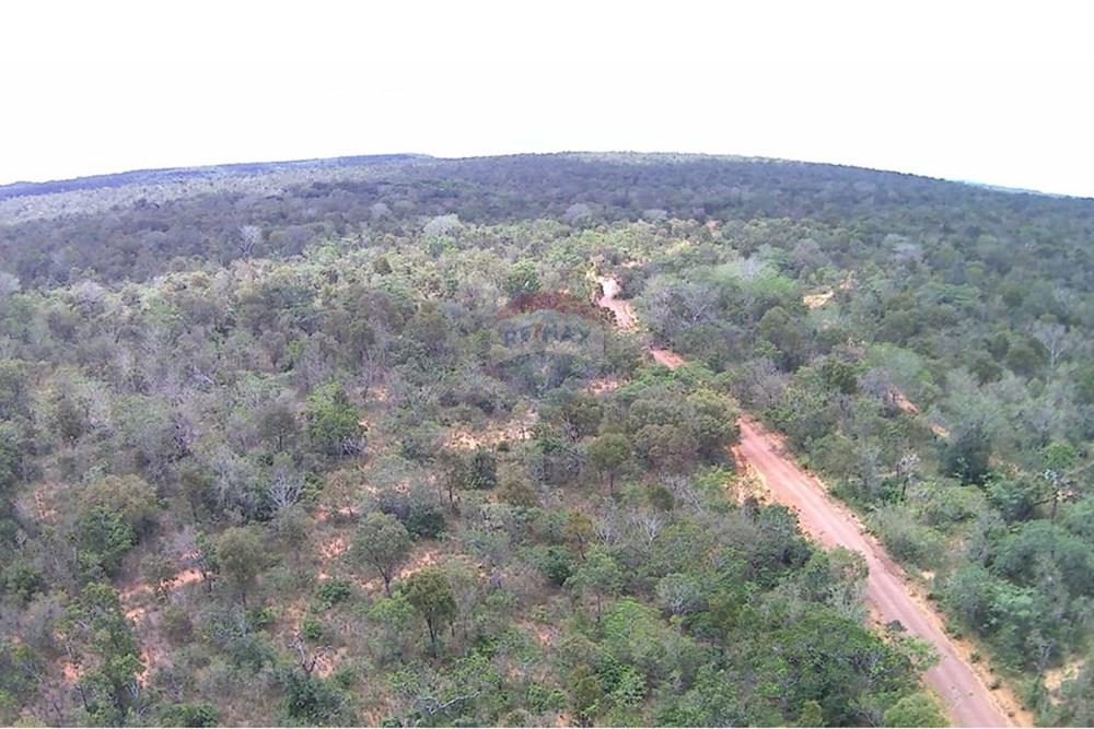 Fazenda - Venda - Babaçulândia , Tocantins - WhatsApp Image 2025-04-09 at 11.01.24 (2).jpeg - 722171039-21