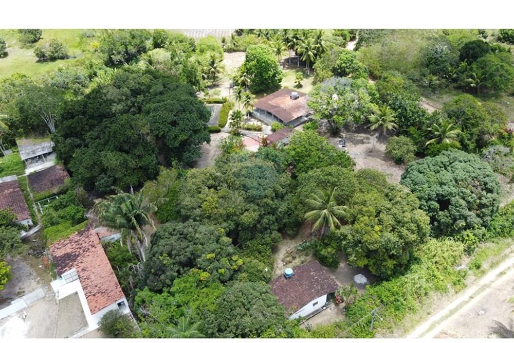 Chácara / Sítio / Fazenda - Venda - Conde , Paraíba - DJI_0266.JPG - 720871004-216