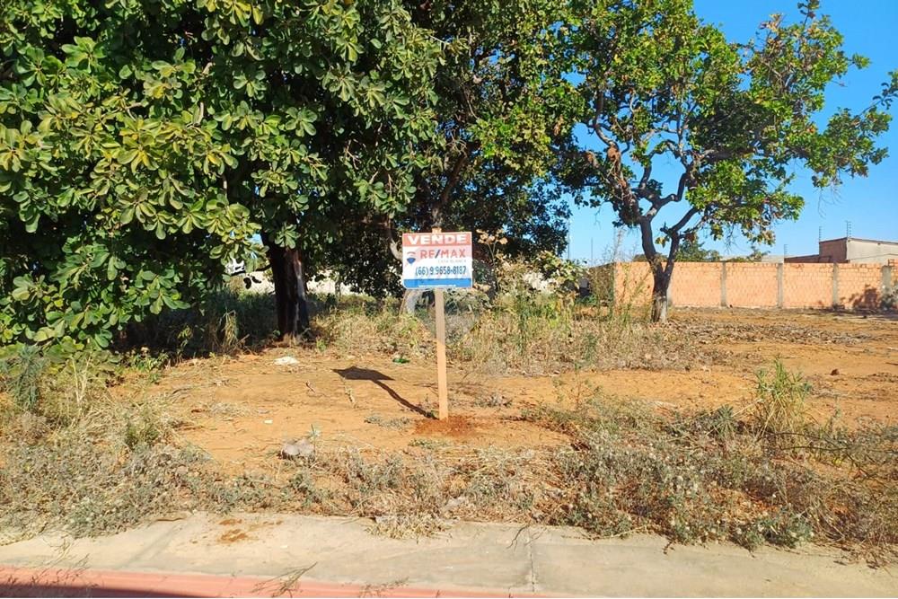 Terreno - Venda - Rondonópolis , Mato Grosso - WhatsApp Image 2025-10-06 at 16.39.21 (2).jpeg - 721981061-25