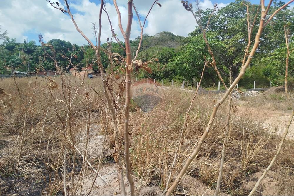 Terreno - Venda - Nísia Floresta , Rio Grande do Norte - WhatsApp Image 2024-11-22 at 21.32.38.jpeg - 720891013-74