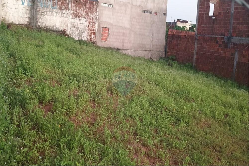 Terreno - Venda - Natal , Rio Grande do Norte - 05 cópia.jpg - Terraço - 720621057-27