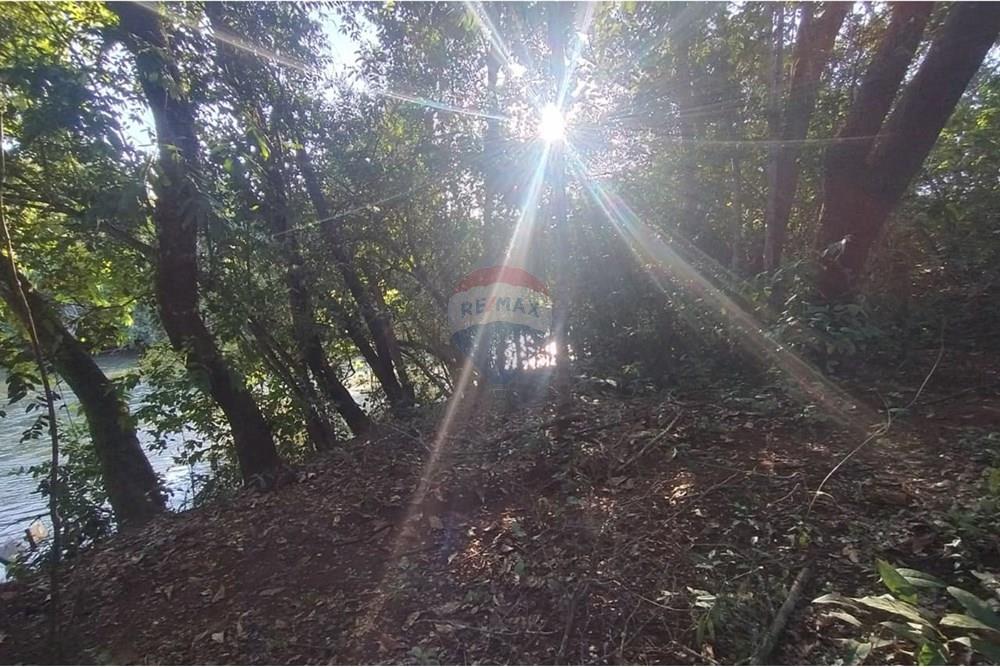 Terreno - Venda - Aparecida do Rio Doce , Goiás - Imagem do WhatsApp de 2025-06-21 à(s) 06.54.41_485562d6.jpg - 722291014-100