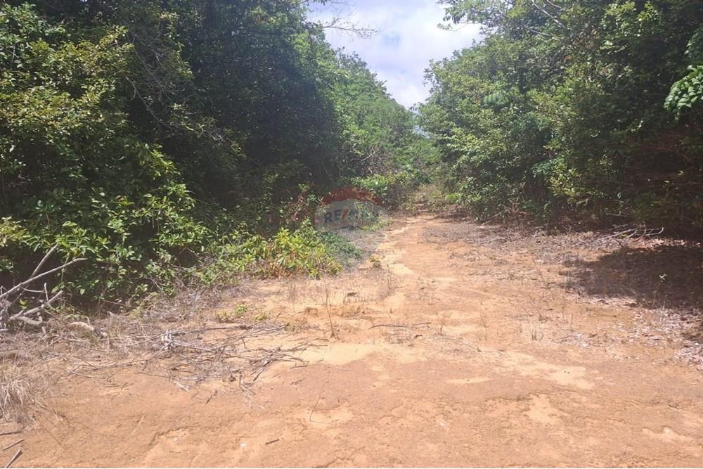 Terreno - Venda - Conde , Paraíba - aced3804-cab1-489a-98c4-7ef823ece53d.jpeg - 720871044-33