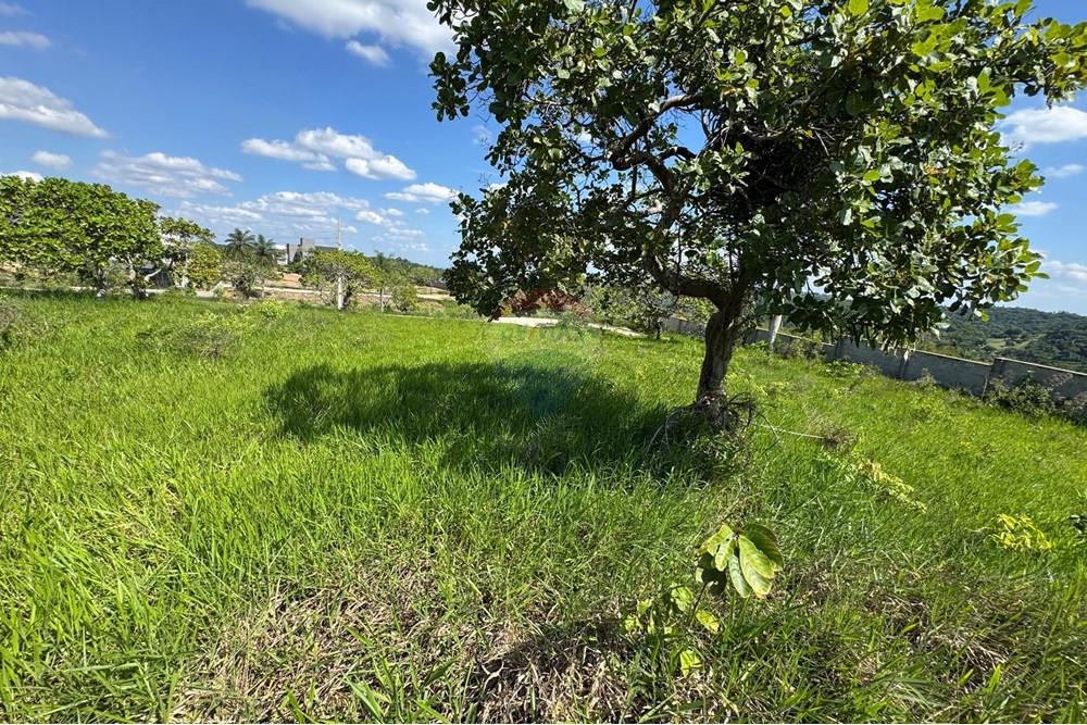 Terreno - Venda - Bananeiras , Paraíba - WhatsApp Image 2025-01-22 at 09.47.10 (5).jpeg - 720551002-74