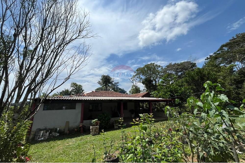 Chácara / Sítio / Fazenda - Venda - Porto Velho , Rondônia - WhatsApp Image 2025-11-05 at 15.47.34 (1).jpeg - 721551067-4