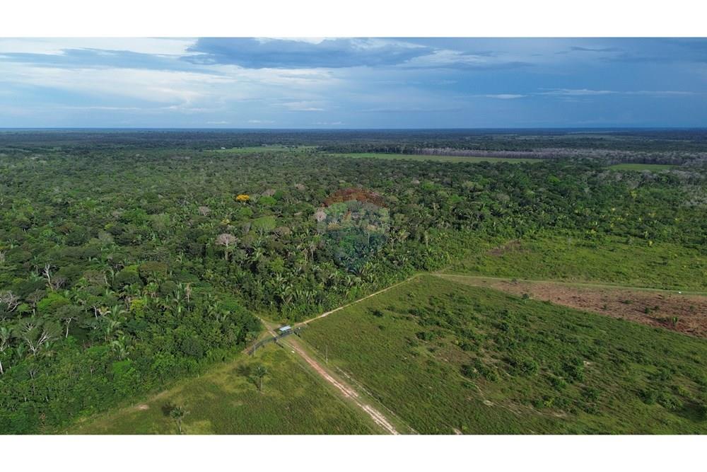 Chácara / Sítio / Fazenda - Venda - Canutama , Amazonas - DJI_0067.JPG - 721551016-61