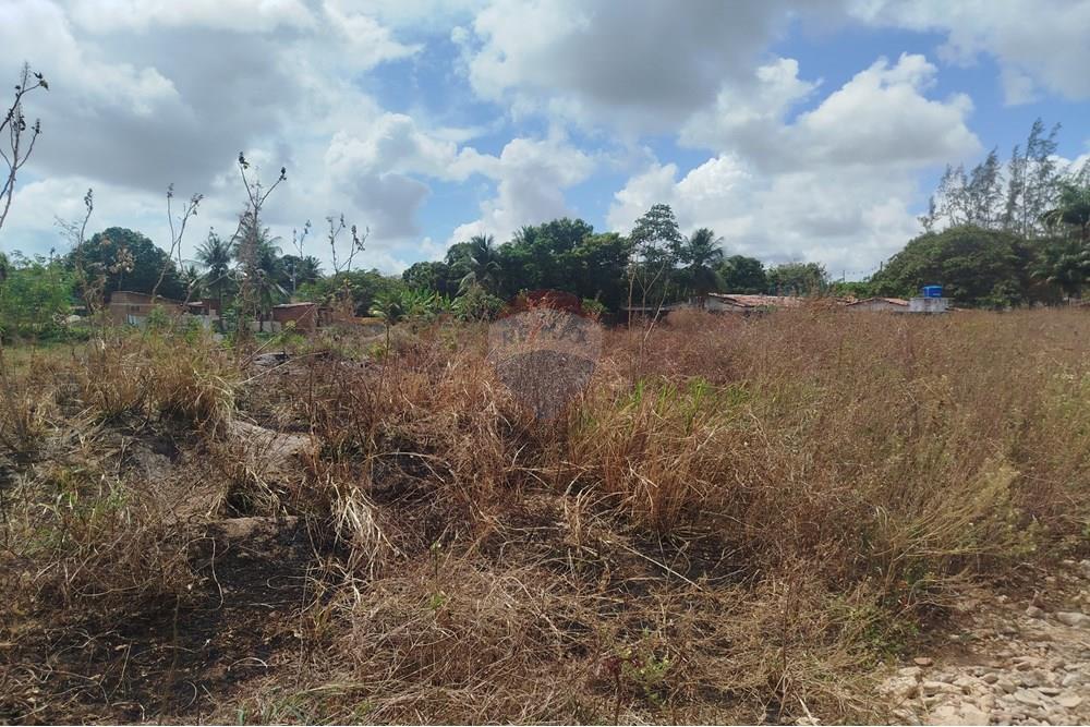 Terreno - Venda - Nísia Floresta , Rio Grande do Norte - WhatsApp Image 2024-11-22 at 21.32.40 (1).jpeg - 720891013-74